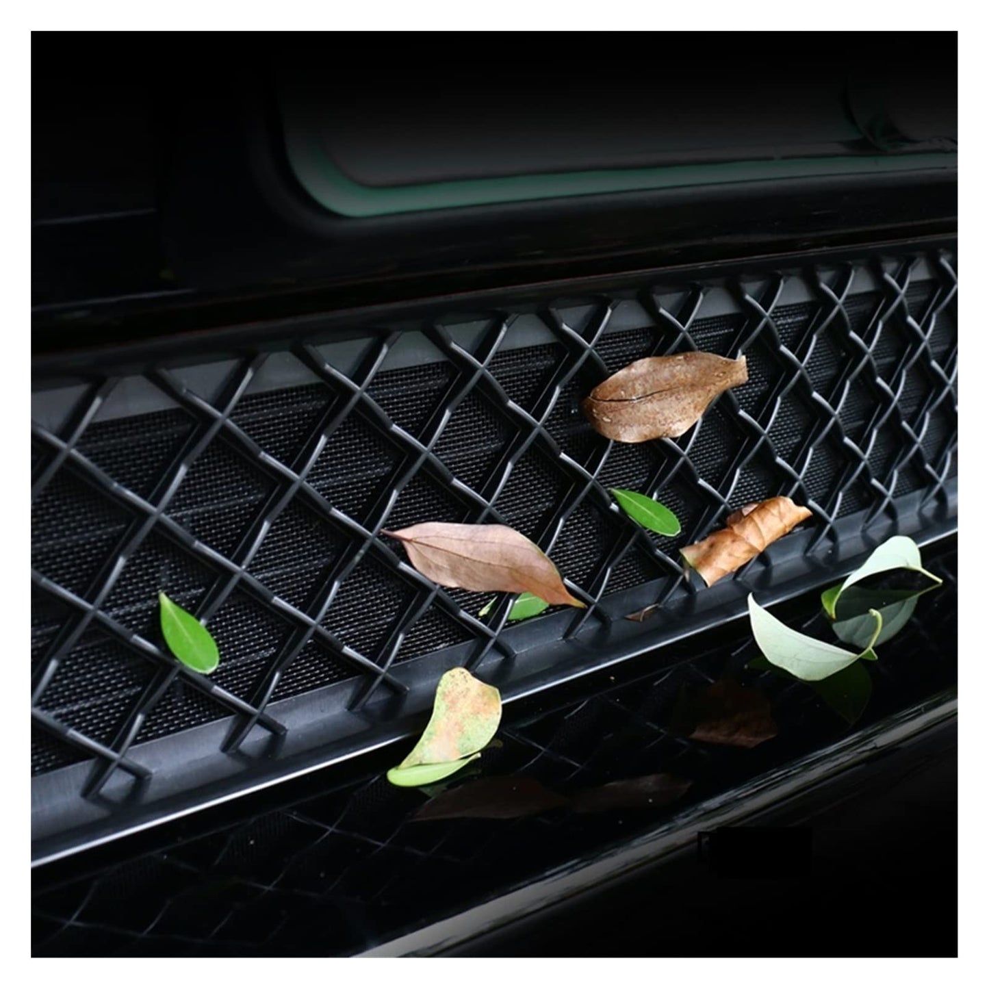Model 3 Y Front Grille Mesh Radiator Grid Cover Insect screen